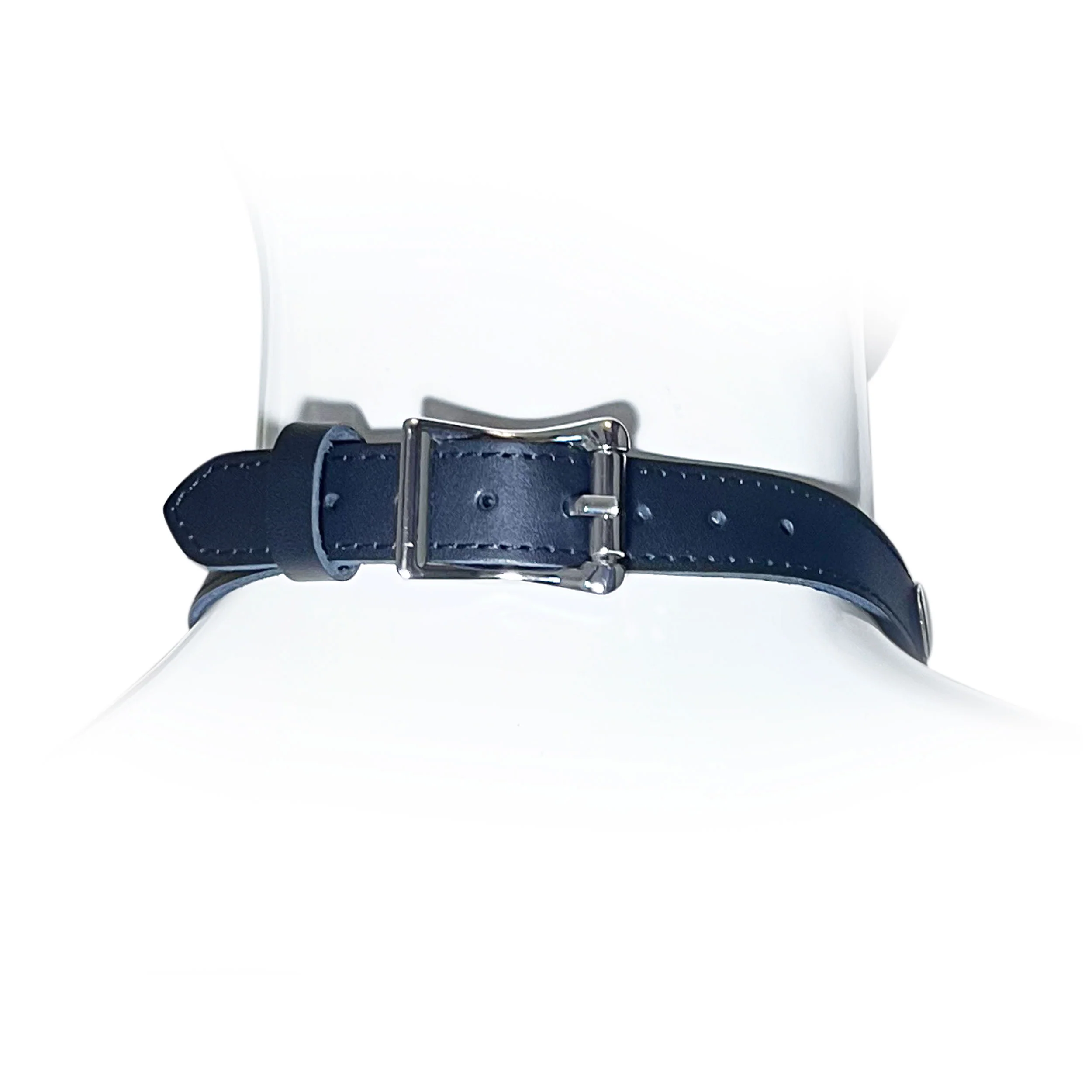 Adjustable Martingale Collar with Heart Chain Accent by Fetish Pleasure Play in Black