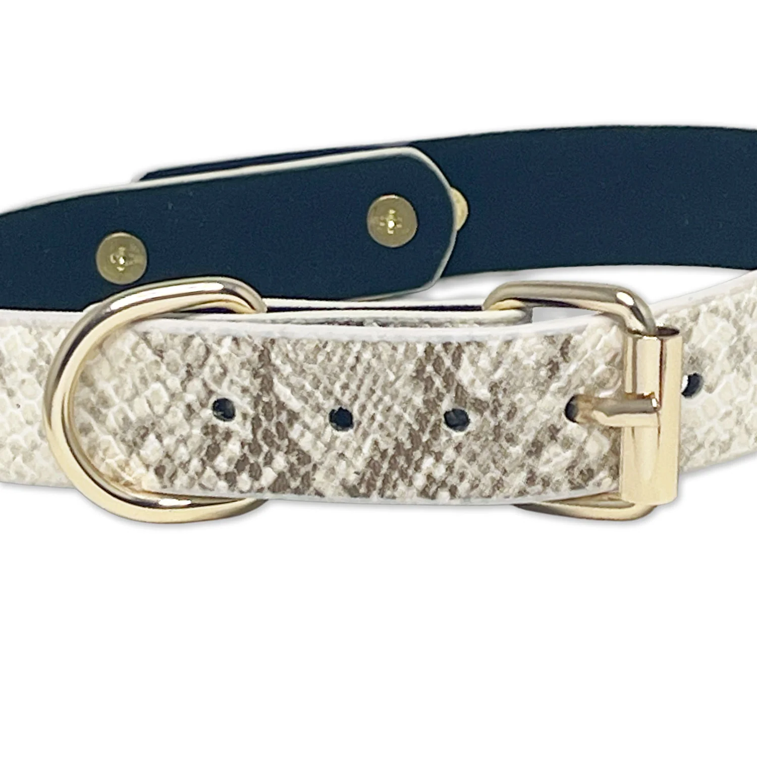 White Faux Snakeskin Clasp Collar by Fetish Pleasure Play